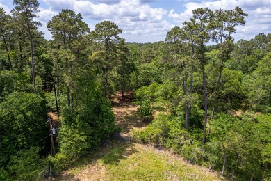 1043 Fm 1486 Rd, Magnolia, TX 77354 - photo 5