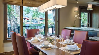 411 S Monarch St unit C7, Aspen, CO 81611 - photo 7