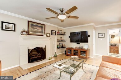 8109 W Point Dr, Springfield, VA 22153 - photo 5