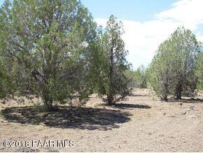 107 Juniperwood Ranch, Ash Fork, AZ 86320 - photo 6