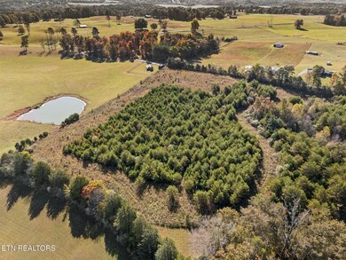 16-Cty Rd 731, TN 37385 - 014