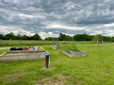 IMG_6215