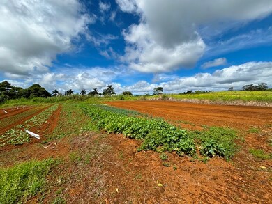 0 Puueo Mauka Dr, Hilo, HI 96720 - photo 3