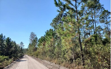 0 County Line Rd unit 121590, Lee, FL 32059 - photo 2