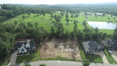 336 Waterview Meadows Ln, Roland, AR 72135 - photo 4