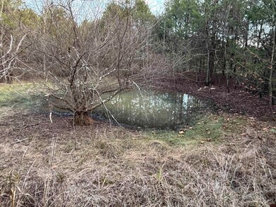 790-00918-000 Marion County 8057, Yellville, AR 72687 - photo 4