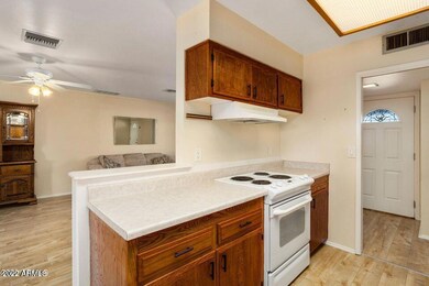 9921 W Coggins Dr, Sun City, AZ 85351 - photo 5