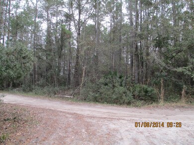 3474 Baker Rd, Middleburg, FL 32068 - photo 5