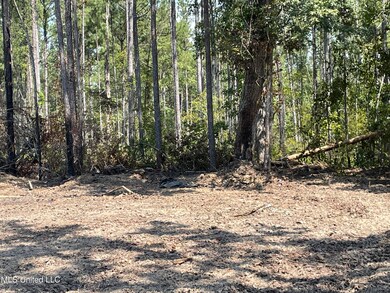 0 Pisgah Rd, Brandon, MS 39047 - photo 6