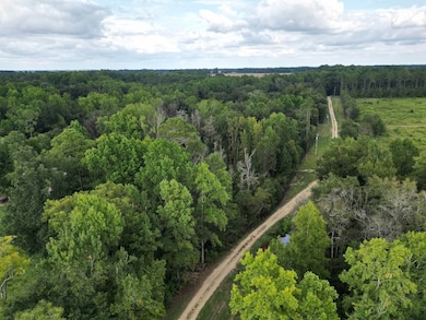 119 Hunter Ln, Poulan, GA 31781 - photo 6