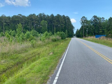 Lot 2 Berley Mc Rd, Conway, SC 29526 - photo 3