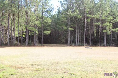 Come hunt, walk and see nature in your own woods.