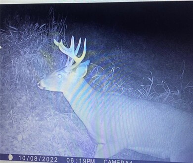 XX Donald Veto Ln, Galesville, WI 54630 - photo 7