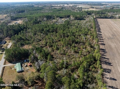 1598 River Bluff Rd, Lumberton, NC 28358 - photo 5