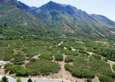 1450 E Golden Eagle Cir unit 10, Alpine, UT 84004 - photo 7