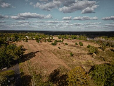 Lot 1 Spruce St, Poplarville, MS 39470 - photo 4