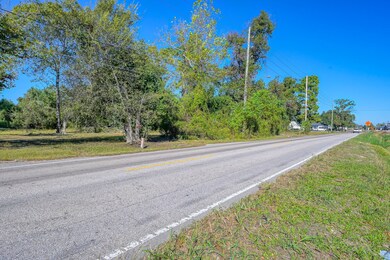 One black away from Old Town Spring.