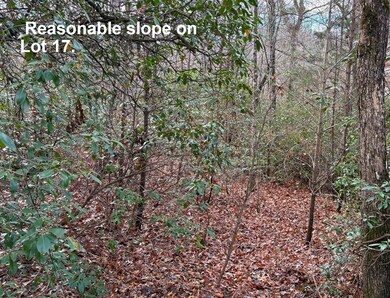 Lot 17 Blue Cedar Rd, Sylva, NC 28779 - photo 5