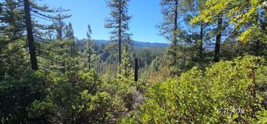 Views of the South Fork from property.