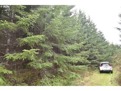 18400 Highway 22, Sheridan, OR 97378 - photo 3