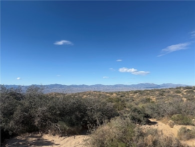 000 E Bogles Ranch Rd, Kingman, AZ 86401 - photo 5