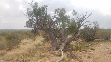 Lot 243 Blye Canyon -- unit 723, Peach Springs, AZ 86434 - photo 7