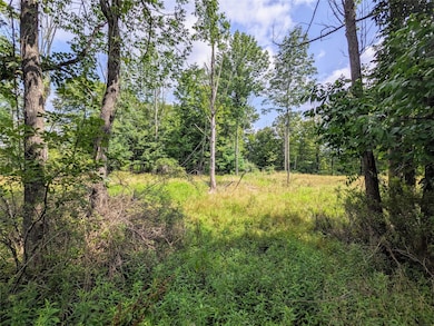 0 State Route 55, Kauneonga Lake, NY 12720 - photo 3