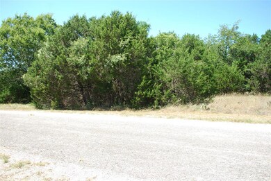 8117 High Mesa Dr, Whitney, TX 76692 - photo 6