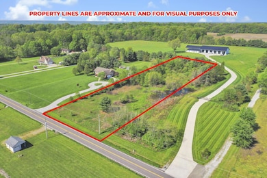 10-web-or-mls-DJI_0202 - Copy (2)