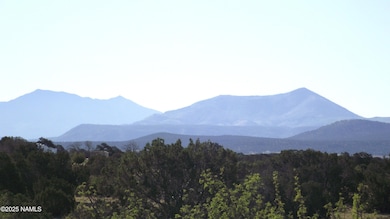 2978 S Lowell Dr, Valle, AZ 86046 - photo 2