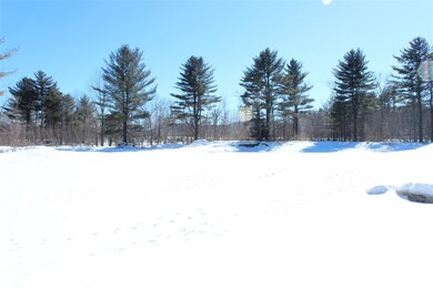 337 Daniel Webster Hwy, Plymouth, NH 03264 - photo 4