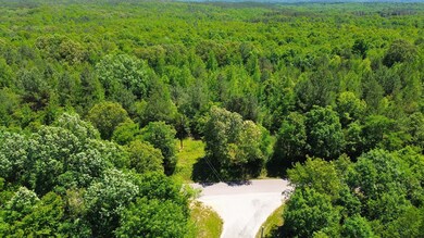 0 Point Mason Rd, Big Sandy, TN 38221 - photo 5