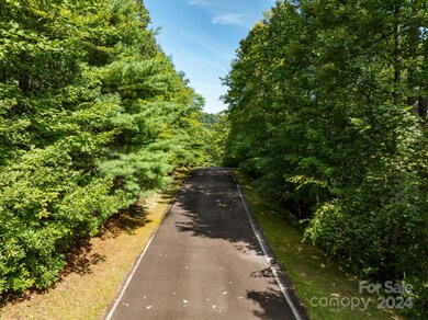 Lot 25 Panther Mountain Rd unit CVN-CVN-025, Zirconia, NC 28790 - photo 7