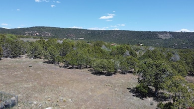 TBD Surface Creek Rd, Cedaredge, CO 81413 - photo 3