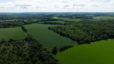 280th Street, Glenwood City, WI 54013 - photo 4