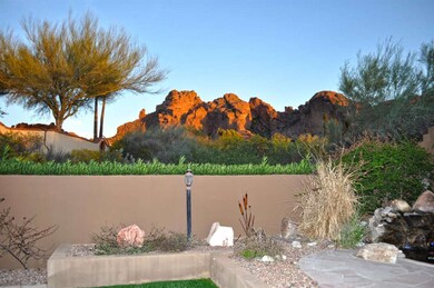 Backyard View