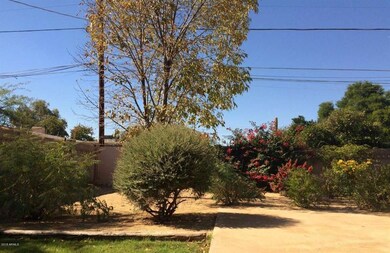 Oasis of a backyard