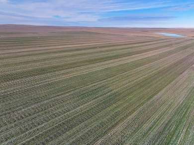 Sansarc Rd, Hayes, SD 57537 - photo 3