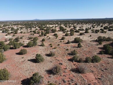 DJI_0260