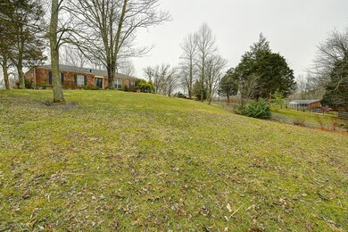 wood valley by CWDavis005