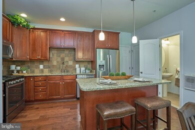 43067 Thoroughfare Gap Terrace, Ashburn, VA 20148 - photo 5