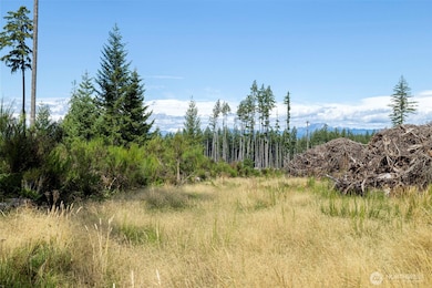 111 NE Ridgetop Ct, Belfair, WA 98528 - photo 7