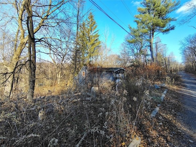 45 Harding Ave, Binghamton, NY 13903 - photo 4