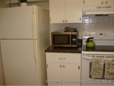 6361 Nature Preserve Ln, Spring Hill, FL 34606 - photo 5