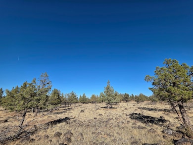 0 Cedar Trail unit 4008-01700-0900, Klamath Falls, OR 97601 - photo 4