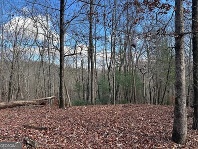 200 Mincey Acres Dr, Murrayville, GA 30564 - photo 5