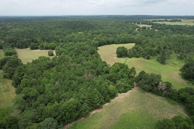 TBD Cr 2170, Grapeland, TX 75844 - photo 2
