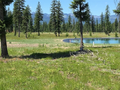 234 Mission Vista Ln, Swan Valley, MT 59826 - photo 2