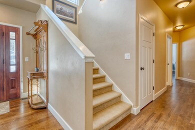 25 Talbot Pine Loop17