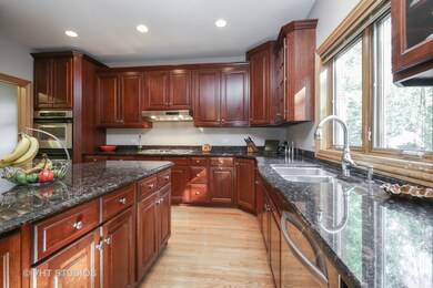 739 S 5th Ave, Des Plaines, IL 60016 - photo 2